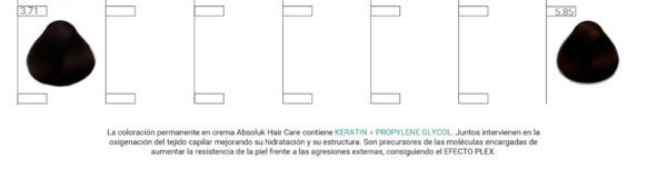 Absoluk Hair Care - 50 Unidades de 60ml - Imagen 11