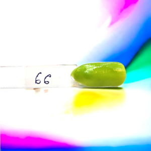 Acrílico de Color 15grs - 66