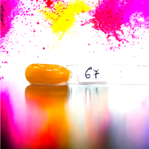 Acrílico de Color 15grs - 67