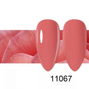11067 Semipermanente