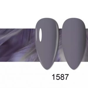 1587 Semipermanente